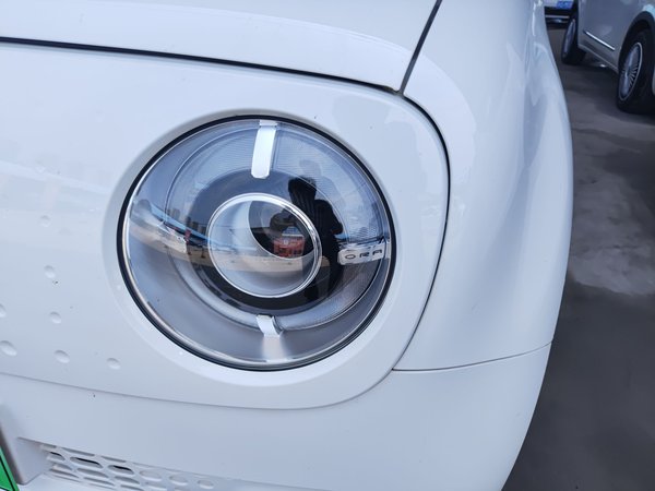 Euler Black Cat 2020, 45700 км, за 34299 CNY - фото 10