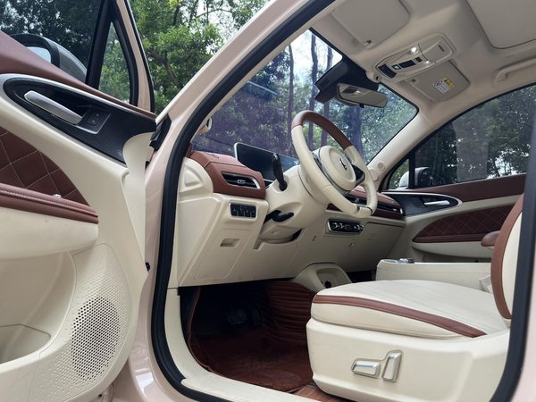 Euler Hermes 2020, 72700 км, за 57800 CNY - фото 20