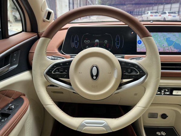 Euler Hermes 2020, 72700 км, за 57800 CNY - фото 15