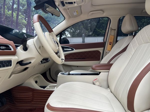 Euler Hermes 2020, 72700 км, за 57800 CNY - фото 19