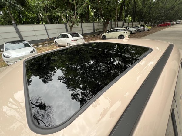 Euler Hermes 2020, 72700 км, за 57800 CNY - фото 12