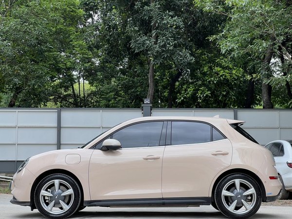 Euler Hermes 2020, 72700 км, за 57800 CNY