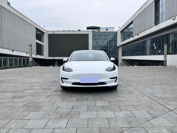 Tesla Model 3 2022 Performance - высокопроизводительная полноприводная версия, 2021 года