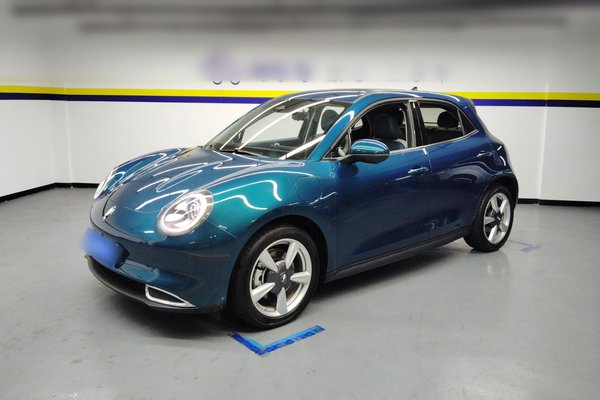 Стандартный срок службы батареи Euler Hermes 2023 401 км, литий-железо-фосфат премиум-класса