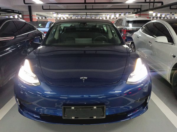 Tesla Model 3 (импортная) 2019 стандартное время автономной работы, модернизированная версия с задним приводом (52 градуса), 2019 года