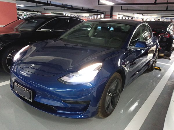 Tesla Model 3 (импортная) 2019 стандартное время автономной работы, модернизированная версия с задним приводом (52 градуса)