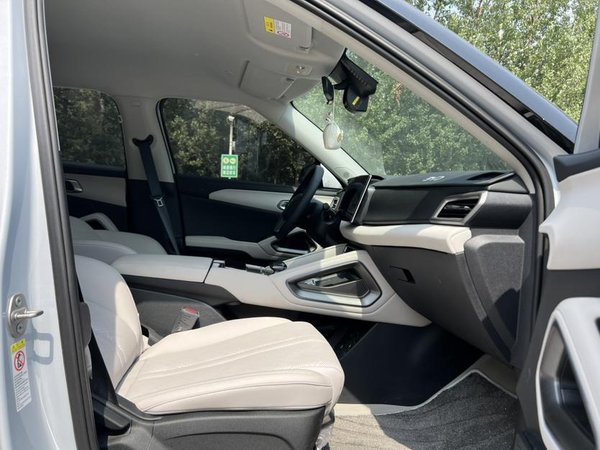 BYD в юанях ДО 2024 года модель 301 км лидирующий тип, 2024 года