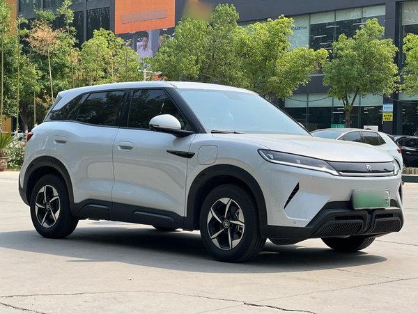 BYD в юанях ДО 2024 года модель 301 км лидирующий тип, 2024 года