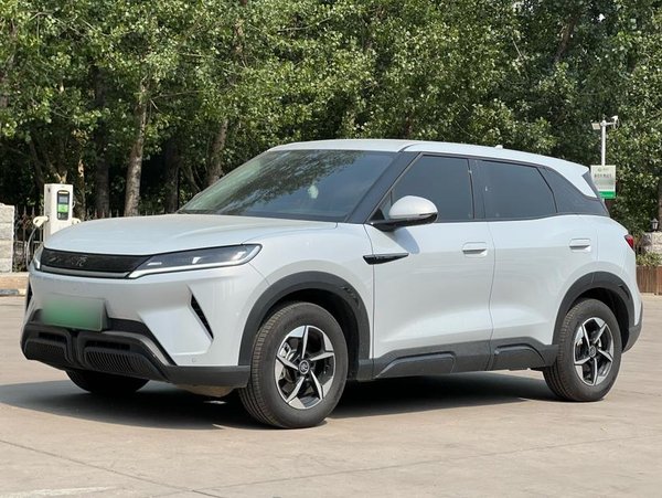 BYD в юанях ДО 2024 года модель 301 км лидирующий тип