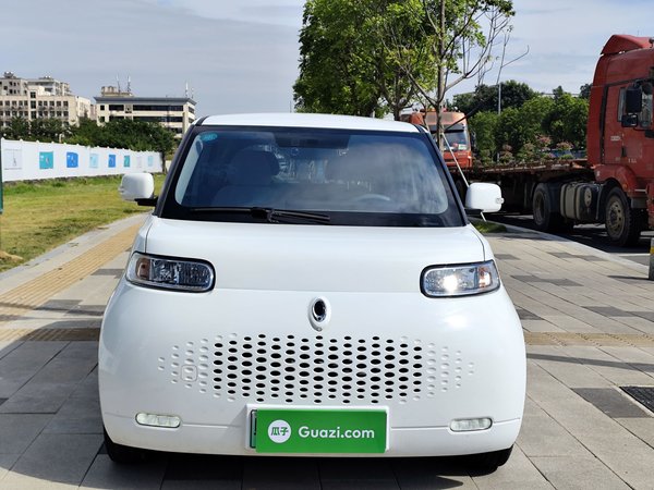 Euler White Cat 2020 360 км класса люкс, 