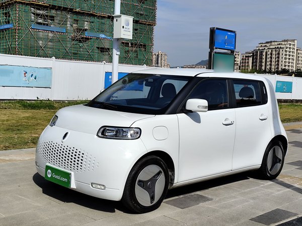 Euler White Cat 2020 360 км класса люкс