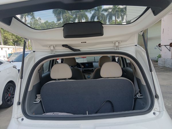 Euler White Cat, 56600 км, за 34900 CNY - фото 23