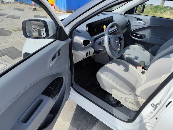 Euler White Cat, 56600 км, за 34900 CNY - фото 20