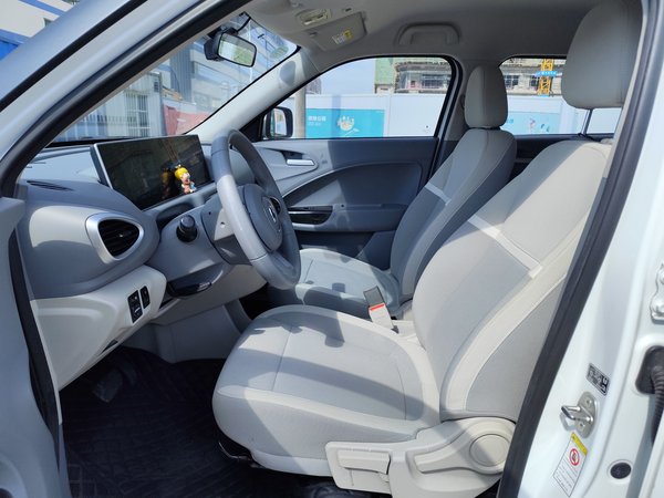 Euler White Cat, 56600 км, за 34900 CNY - фото 19