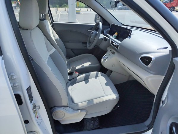 Euler White Cat, 56600 км, за 34900 CNY - фото 24