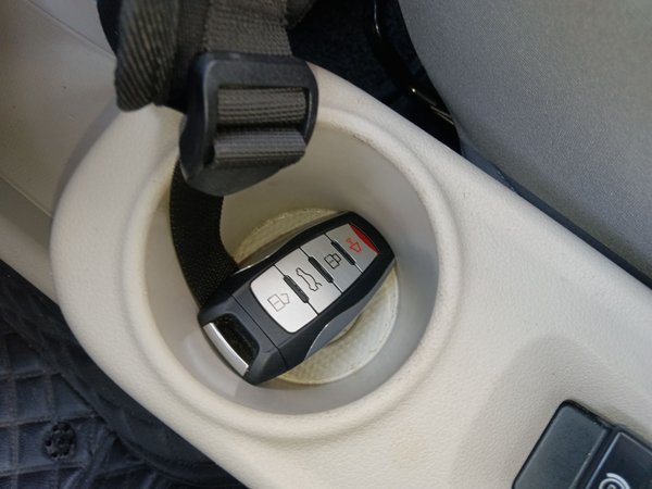 Euler White Cat, 56600 км, за 34900 CNY - фото 13