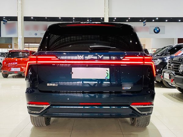 Wey Lanshan / Blue Mountain 2023, 40600 км, за 162500 CNY - фото 6