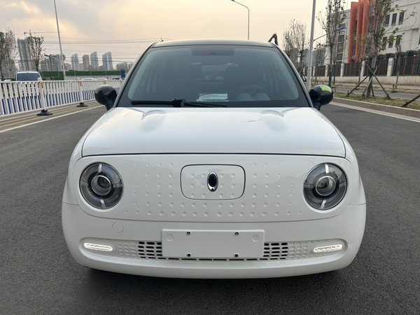 Euler Black Cat 2021 Модель 351 км стандартного типа, 2020 года