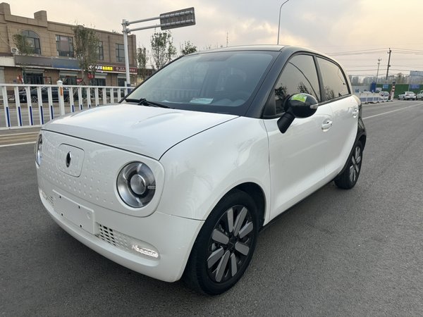 Euler Black Cat 2021 Модель 351 км стандартного типа