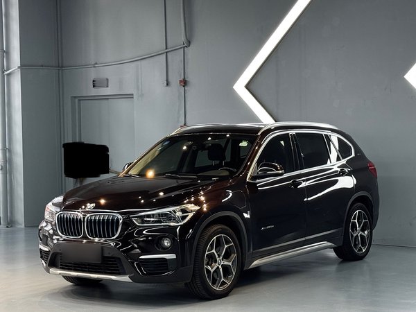 BMW X1 New Energy 2018 xDrive25Le класса люкс