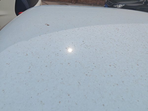 Модели декораций Dongfeng Scenery MINIEV 2022 отличаются практичностью, 2022 года