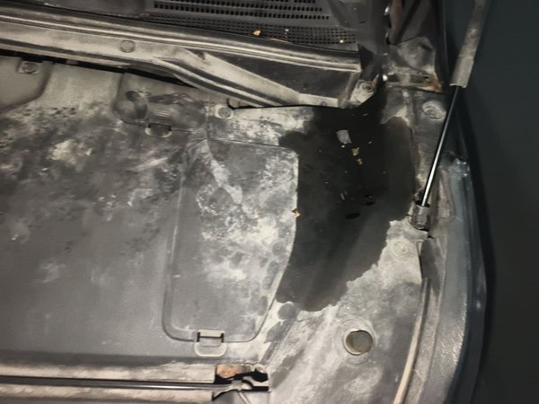 SAIC Maxus EUNIQ 5, 122900 км, за 54300 CNY - фото 38