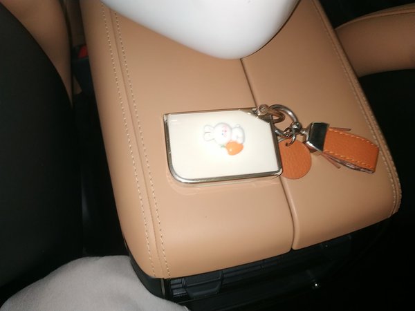 Lynk & Co 09 EP-M 2021, 53200 км, за 161600 CNY - фото 13