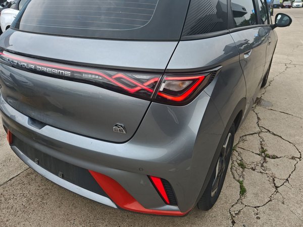 BYD Dolphin 2021, 56000 км, за 53600 CNY - фото 8