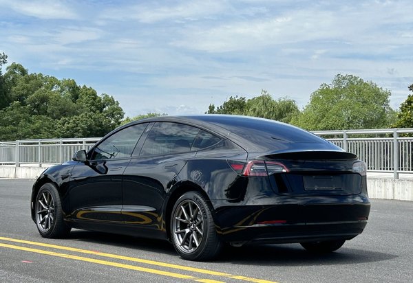 Tesla Model 3 2021 стандартное время автономной работы, модернизированная версия с задним приводом, 2021 года