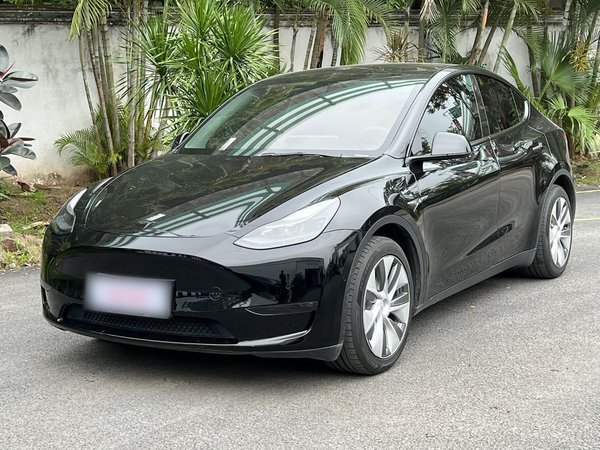 Tesla Model Y 2021 Стандартное время автономной работы Версия с задним приводом