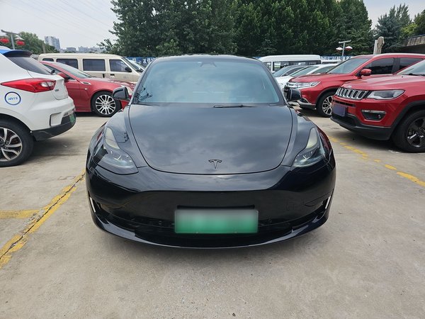 Заднеприводная версия Tesla Model 3 2022, 2021 года