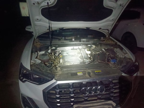 Audi Q3 2023, 22500 км, за 25388 USD - фото 20