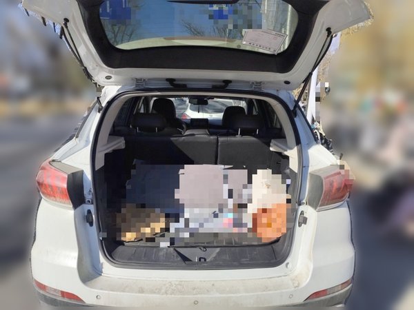 BAIC Beijing EX5 2019, 93100 км, за 7719 USD - фото 20