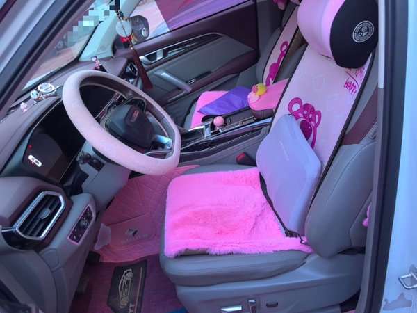 Baojun RS-5 2019, 109900 км, за 5892 USD - фото 16