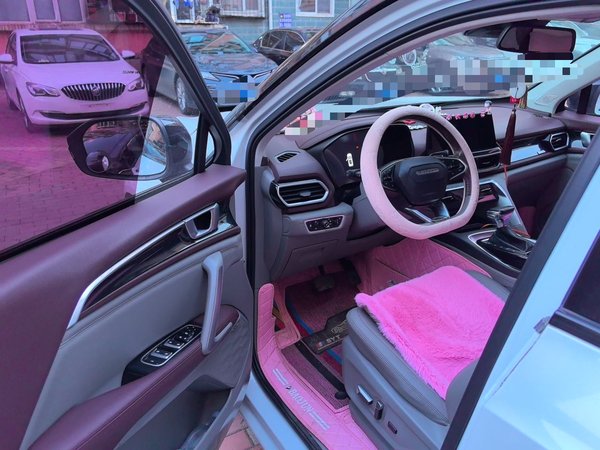Baojun RS-5 2019, 109900 км, за 5892 USD - фото 17