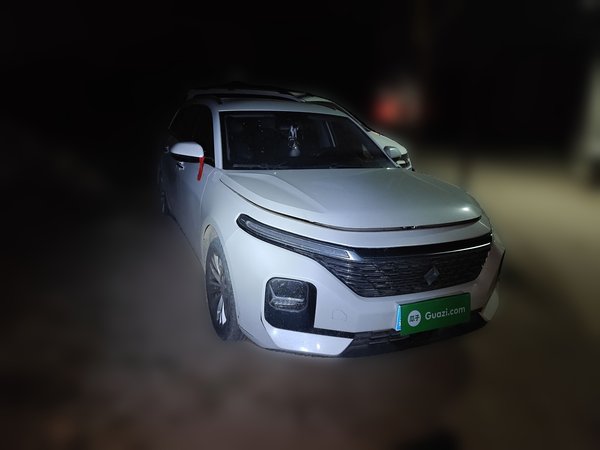 Baojun Valli · 2021 год