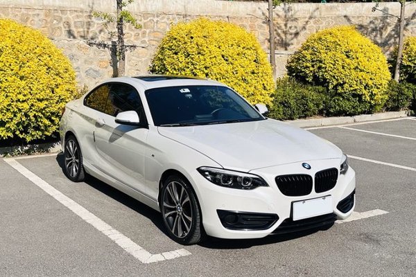 BMW 2 Series 2019, 19800 км, за 21441 USD