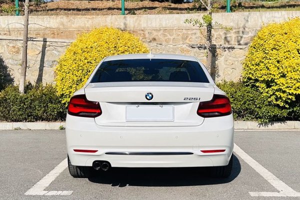 BMW 2 Series 2019, 19800 км, за 21441 USD