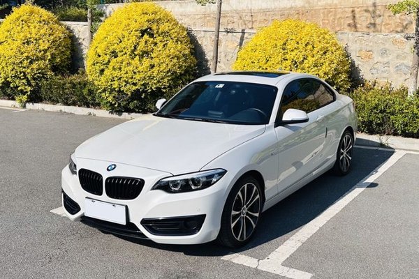 BMW 2 Series · 2019 год