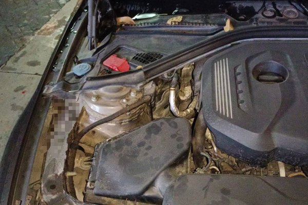 BMW 3 Series 2018, 121800 км, за 12367 USD - фото 23