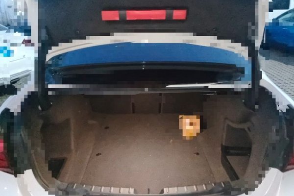 BMW 3 Series 2019, 93699 км, за 13582 USD - фото 20