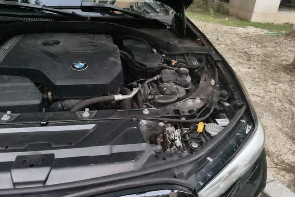 BMW 3 Series 2021, 94000 км, за 22335 USD - фото 22