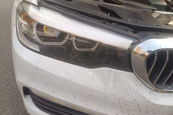 BMW 5 Series 2018, 87400 км, за 20206 USD - фото 7