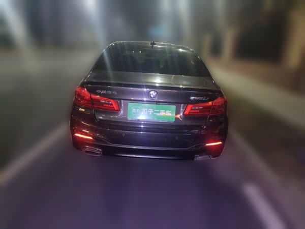 BMW 5 Series · 2019 год