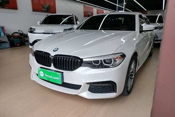BMW 5 Series · 2019 год