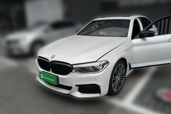 BMW 5 Series · 2019 год