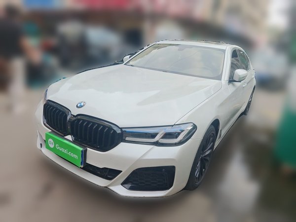 BMW 5 Series · 2019 год