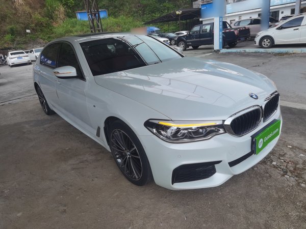 BMW 5 Series 2020, 80200 км, за 28991 USD - фото 9