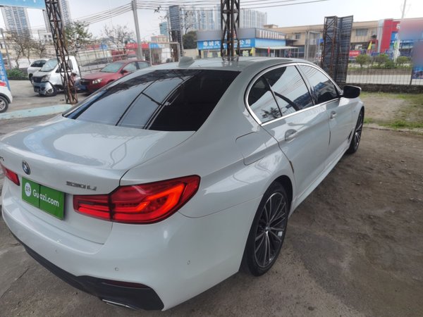 BMW 5 Series 2020, 80200 км, за 28991 USD - фото 7