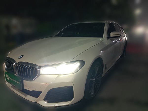 BMW 5 Series 2021, 159200 км, за 30822 USD - фото 6